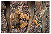  1013 - Generations - Generationen 