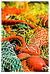  1260 - Harbor still-life - Hafen Stillleben 