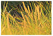  1528 - Hidden - Versteckt 