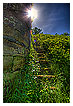  2142 - Into the light - Ins Licht 