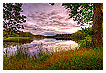  2319 - Eldmörjan - - 