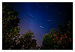  2361 - Star Tracks - Sternenbahnen 