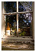  2426 - Snaps - - 