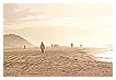  2474 - Sea of foggy zombies - - 