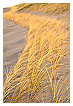  2480 - Grassline - - 