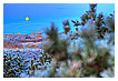  2516 - Cold moon - - 