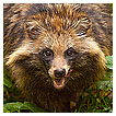  2640 - Bon apetit -  