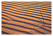  2733 - Sand shower - - 