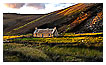  3738 - Forlorn Cottage - - 