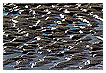  4032 - Hilly sandscape - - 