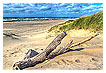  4043 - Wooden Left Over - - 