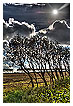  4080 - Two in a row - - 