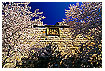  446 - - - St.Veit-Bastion 