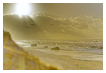  4724 - Prevailing peace - - 