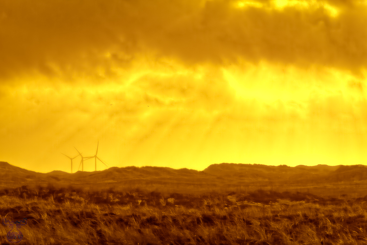 Sun and wind - DreamArt