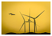 4806 - Wind Driven - - 