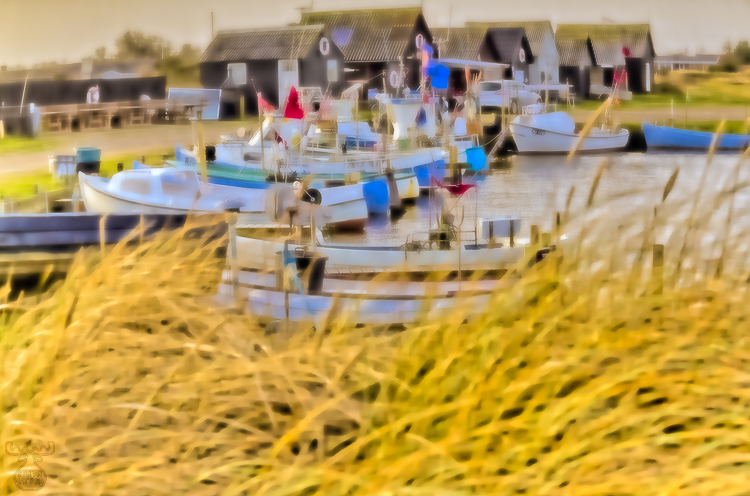 Lnygvig Havn DreamArt