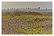  4844 - Hazy Lyngvig Kirke - - 