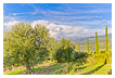  5508 - Montegiovi view - - 