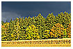  578 - Thundery Autum - Herbst Gewitter 