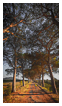 6163 - Forgotten Avenue - - 