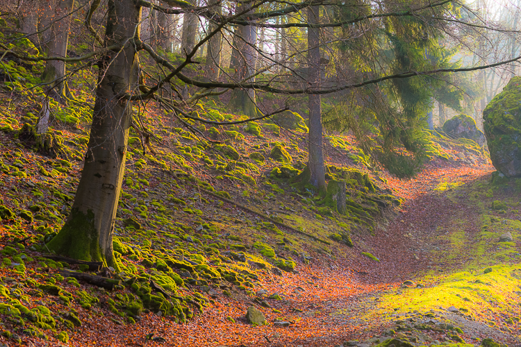 6262 - The Franconian way - -