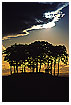  698 - Solar Twilight - Sonnendämmerung 