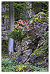  814 - Spot of Color - Farbfleck 