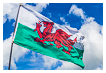  8278 - Y Ddraig Goch - - 