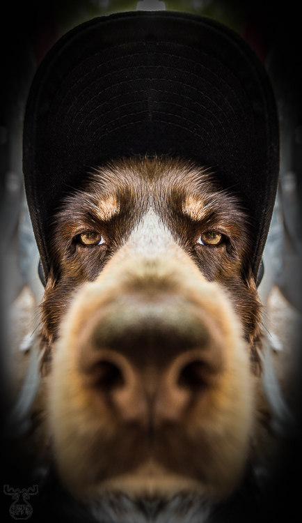 9104 - Long Nose Gangster - -