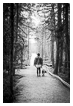  9284 - A Tired Dog Walk - - 