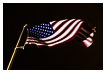  9961 - Windy Stars and Stripes - - 