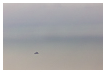  9974 - The boat in Nowhere - - 