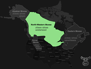 Northwestern Range