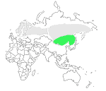 Ussurian Range