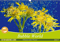 Bubble World