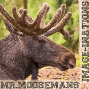 Mr.Mooseman's Image-inatioans